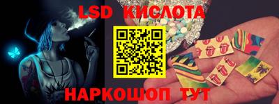 стаф Гай