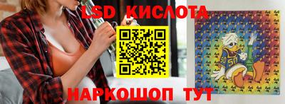стаф Гай