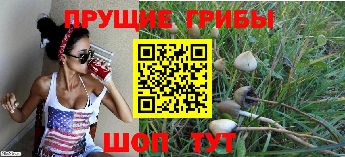Каменск-Шахтинский  Галлюциногенные грибы GOLDEN TEACHER  Вход с VPN 