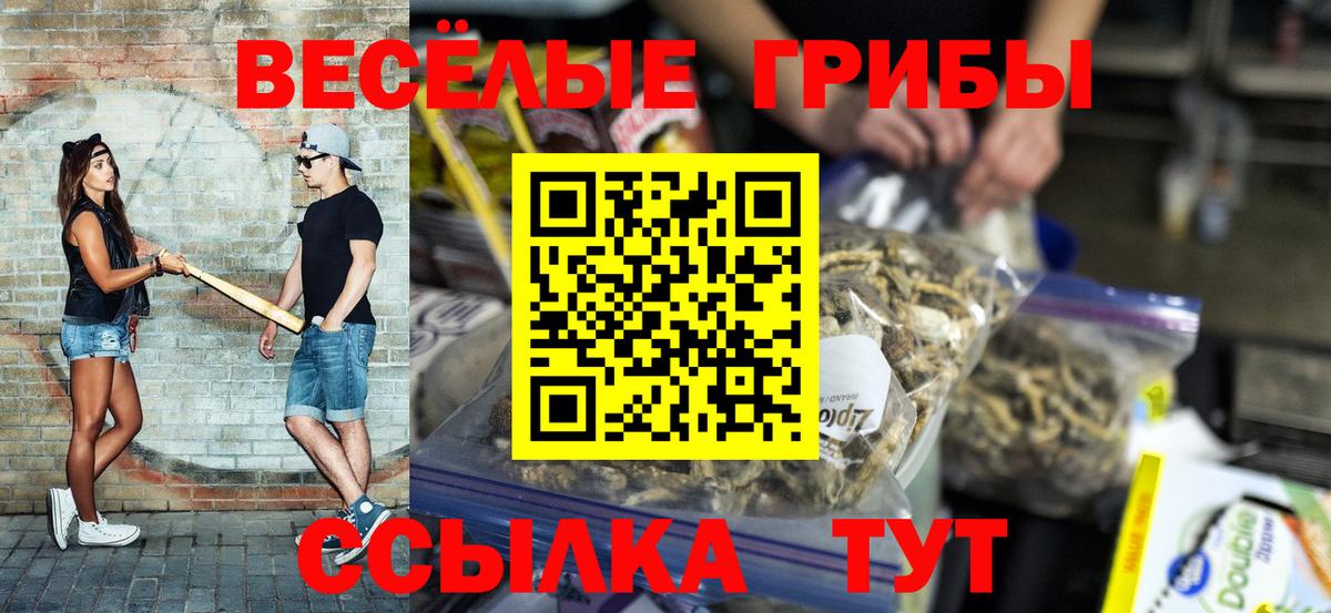 Галлюциногенные грибы ЛСД Каменск-Шахтинский
